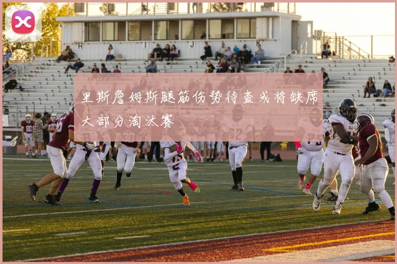 里斯詹姆斯腿筋伤势待查或将缺席大部分淘汰赛