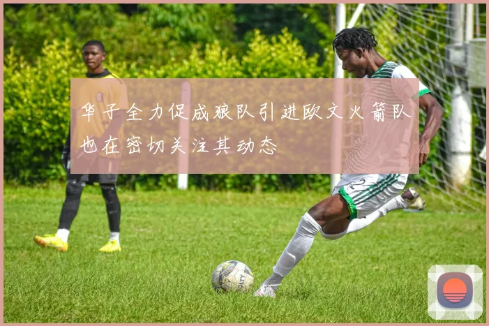 华子全力促成狼队引进欧文火箭队也在密切关注其动态